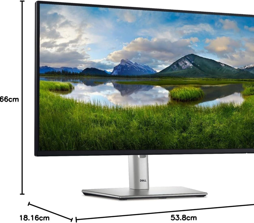 DELL Monitor P2425H Dell